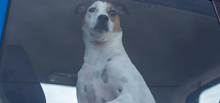 Car Lockout Solutions in Norco, California