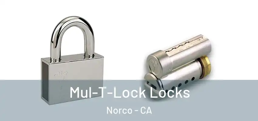  Mul-T-Lock Locks Norco - CA